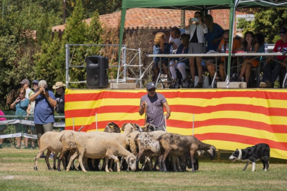 Concurs Internacional de Gossos d'Atura de Prades