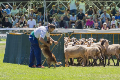 Concurso Internacional de Gossos d'Atura de Prades