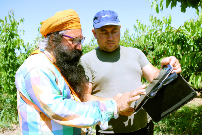 Un trabajador de campo de Cerima Cherries firma el contrato con una tableta desde el campo de cerezas.