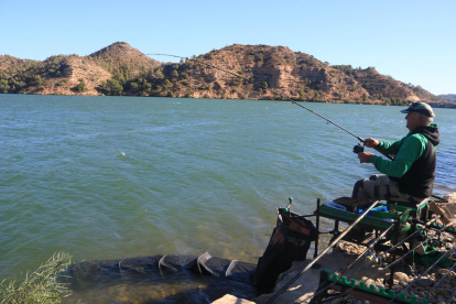 Un participant en el campionat d'Espanya de Pesca celebrat al pantà de Riba-roja d'Ebre.