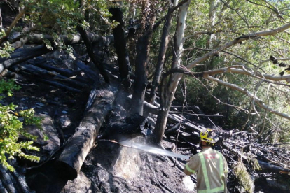 Imatge d'arxiu de bombers actuant a una zona boscosa per extingir un incendi.