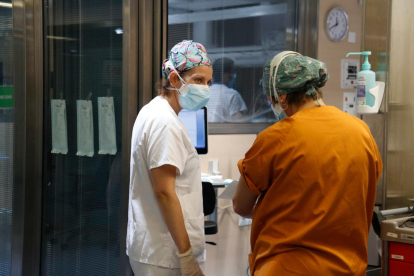 Professionals sanitàries treballant a l'UCI de Vall d'Hebron atenent pacients ingressats per covid.
