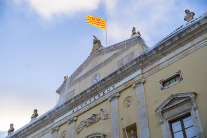 Imatge de la xarxa col·locada a la cornisa del Palau Municipal per evitar els despreniments.