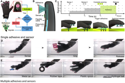 Imagen de pruebas realizadas con el guante con ventosas y sensores.