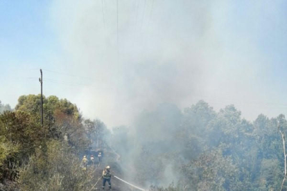 Bomberos remojando la zona de matorrales que ha quemado en Valls.