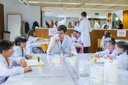 Los alumnos, en una de las mesas en que realizaron los talleres experimentales.