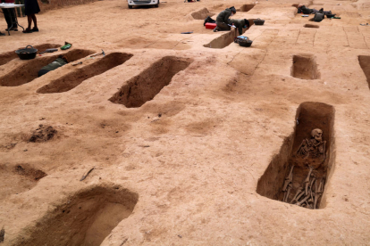 Diverses fosses obertes de la batalla de l'Ebre amb arqueòlegs treballant al Mas de Santa Magdalena, a Móra d'Ebre.