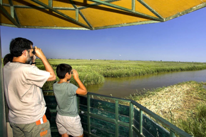 Una familia realiza observaciones con prismáticos en el Delta del Ebro.