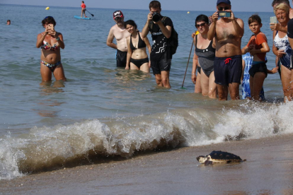 Alliberament d'una tortuga marina a la platja de Calafell, davant l'expectació de banyistes.