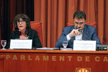 La consellera d'Acció Climàtica, Teresa Jordà, durant la Comissió d'estudi per a la protecció del delta de l'Ebre al Parlament.