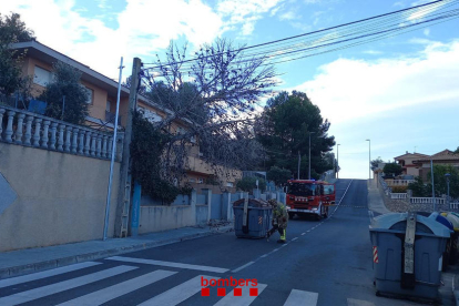 Los Bombers retiran un árbol en la avenida Marca Hispánica de Calafell.
