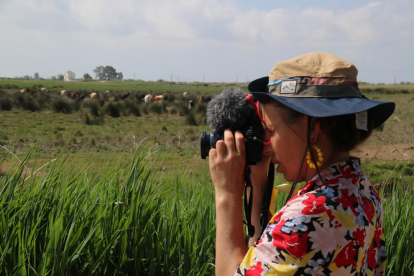 Una participant a la Caravana Delta pren imatges del ramat de bous braus de la ramaderia Palmer.