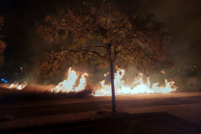 Imatge del foc que es va produir ahir a la nit.