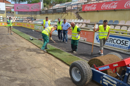 Un millar de rollos de césped traído del Ebro ya se instalan en el Estadio