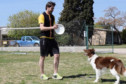 Tarragona acull un campionat de Dogfrisbee puntuable per als europeus