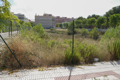 El Ayuntamiento requiere la limpieza de los solares más próximos.