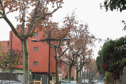 El carrer de la Vicaria a la urbanització Pàmies.