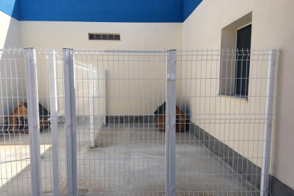 Les noves gàbies estan situades a comissaria i disposen de vuit metres quadrats.