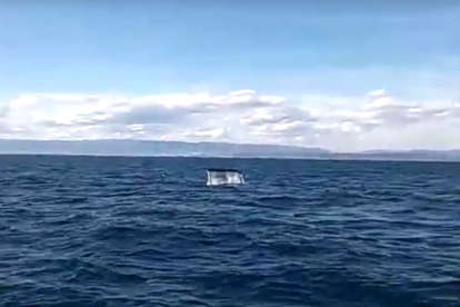 Fotograma del vídeo que es va grabar des de l'embarcació.