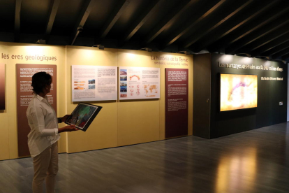 La directora del Museo de Alcover, Ester Magrinyà, mostrando toda la parte que se renovará de la exposición de paleontología en el nuevo proyecto museográfico previsto, en una imagen de junio del 2017