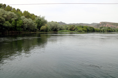 Pla general de la zona del marge esquerre del riu Ebre, al terme municipal de Miravet.