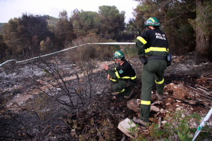 Pla obert de dos efectius dels Agents Rurals investigant sobre el terreny un dels punts on s'hauria iniciat l'incendi. Imatge del 22 d'agost del 2016