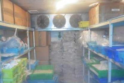 Imatge de l'interior del magatzem clandestí.