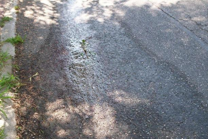 Un veí de Cala Romana denuncia una fuita d'aigua a la calçada i EMATSA no se'n fa càrrec