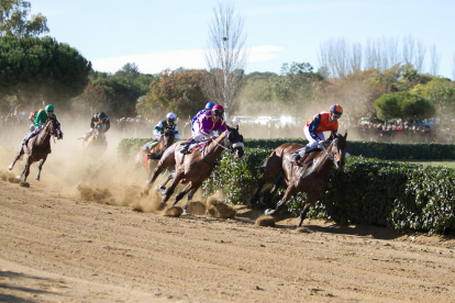 Los participantes en una de las tres carreras que se disputaron ayer por la mañana en el parque de la Torre de Dolça, en Vila-seca.