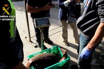 Els integrants de la organització es dedicaven a pescar de forma massiva per posteriorment lucrar-se econòmicament amb la venda del peix.