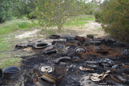 Imagen de los neumáticos quemados en un terreno agrícola de la Secuita.