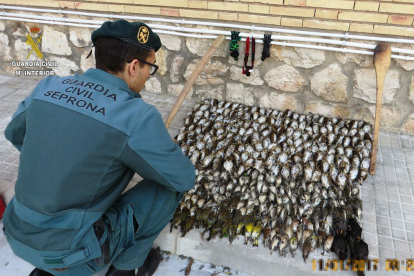Los agentes de la Guardia Civil intervinieron palos de madera que los hombres usaban para matar a golpes las aves.