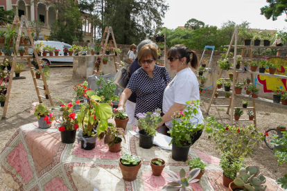 De moment, s'han preparat per vendre's unes 200 flors i plantes.