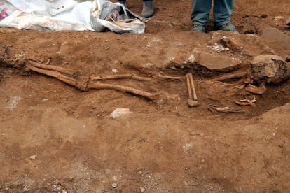 Detall de les restes òssies trobades a Tarragona, simulant l'esquelet. Imatge del 20 de gener de 2017 (Horitzontal)