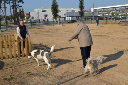 Imatge del nou espai d'esbarjo per a gossos del Barri Juroca.