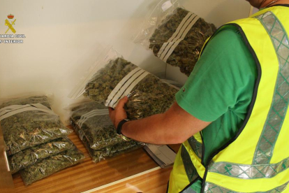 Dos detinguts a Calafell per cultivar marihuana, després que els veïns alertessin de la forta olor