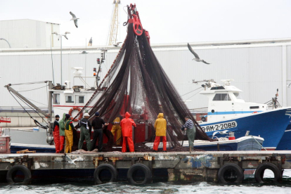 Imagen de archivo de unos marineros moviendo las redes para recoger el pescado azul capturado.