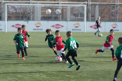 Futbolistes en les categories prebenjamí, benjamí i aleví van gaudir d'una jornada de futbol formatiu.