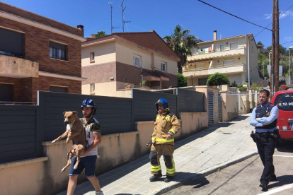 Uno de los vecinos ha rescatado el perro de una de las víctimas.