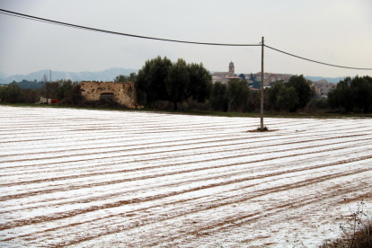 Un campo en Arnes, en la Terra Alta, nevado este jueves por la tarde.