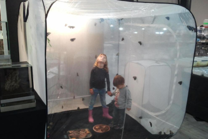 Uns nens observen el vol de papallones en una mostra anterior d'aquesta proposta de CaixaForum.