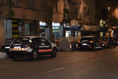Uno de los coches de Mossos D'Esquadra y otro de la Policía Nacional durante las inspecciones.