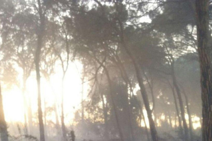 Imatge de l'incendi de la vegetació del Mas de Mestres del Morell.