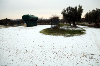 Imagen de archivo de un campo con nieve en los Ports del pasado 19 de enero, en la que fue la primera nevada del 2017 en la demarcación de Tarragona.