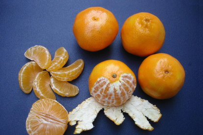 Cinc cooperatives i divuit productors han donat inici a una nova etapa del segell IGP Clementines Terres de l'Ebre, un distintiu de qualitat que tenen adjudicat des de 2001.