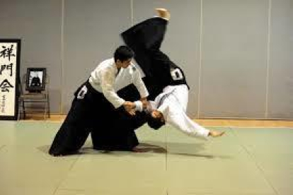 L'Aikido es vol donar a conèixer.