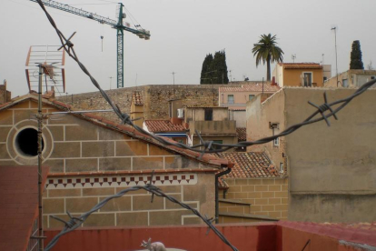 Alguns veïns han decidit col·locar flltats espinosos a les teulades per seguretat.