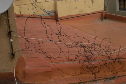 Algunos vecinos han decidido colocar alambrados espinosos en los tejados por seguridad.