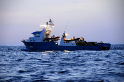 Un pesquer capturant tonyines roges.