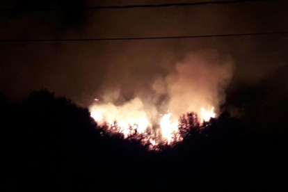 L'incendi ha afectat zona boscosa